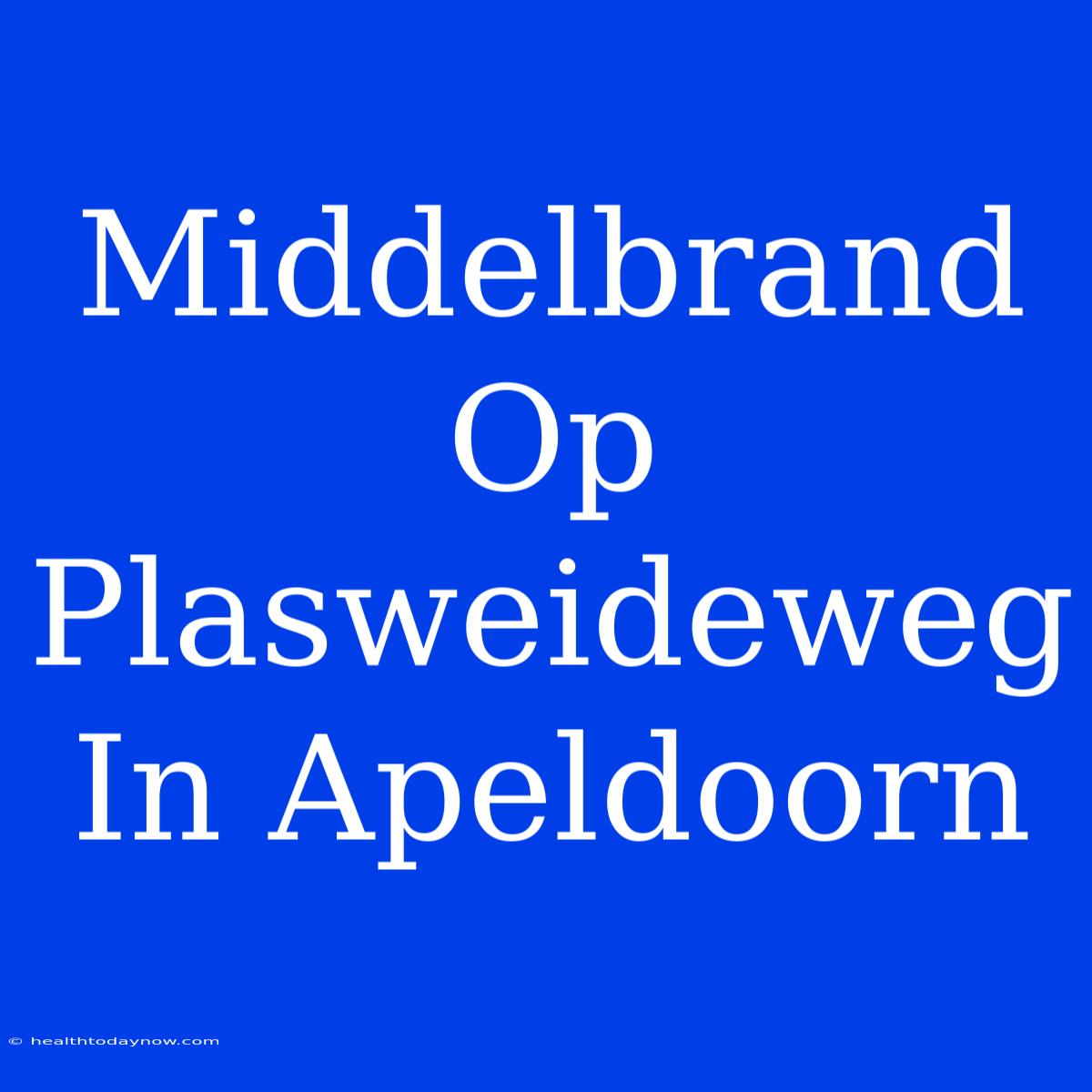 Middelbrand Op Plasweideweg In Apeldoorn 