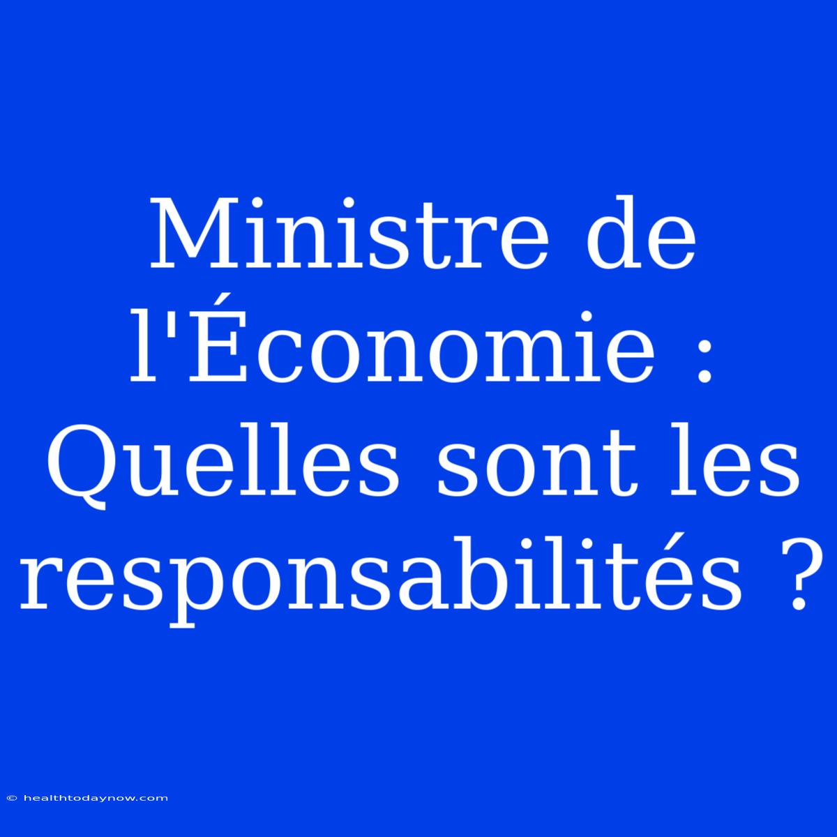 Ministre De L'Économie : Quelles Sont Les Responsabilités ?