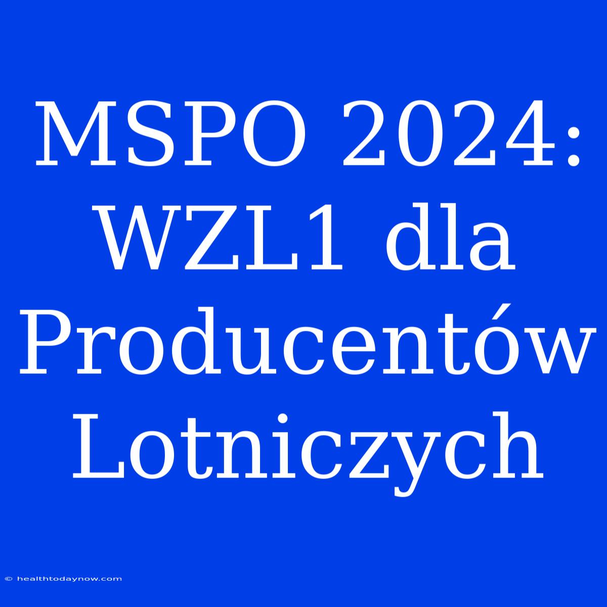 MSPO 2024: WZL1 Dla Producentów Lotniczych