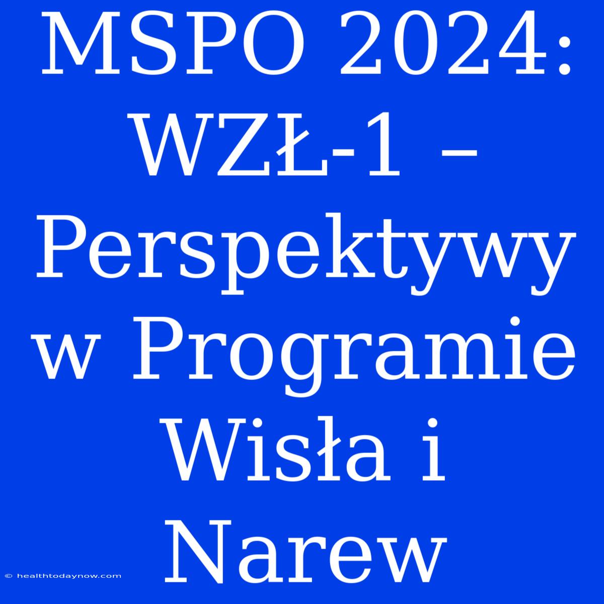 MSPO 2024: WZŁ-1 – Perspektywy W Programie Wisła I Narew 