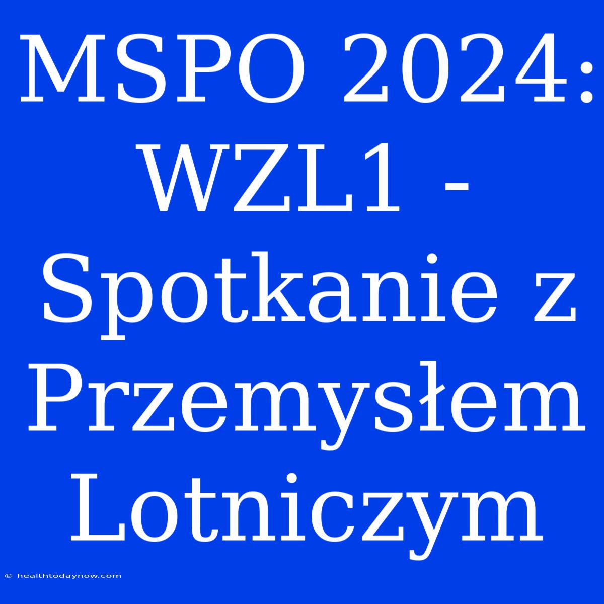 MSPO 2024: WZL1 - Spotkanie Z Przemysłem Lotniczym