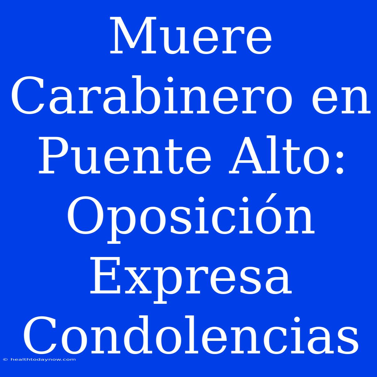 Muere Carabinero En Puente Alto: Oposición Expresa Condolencias