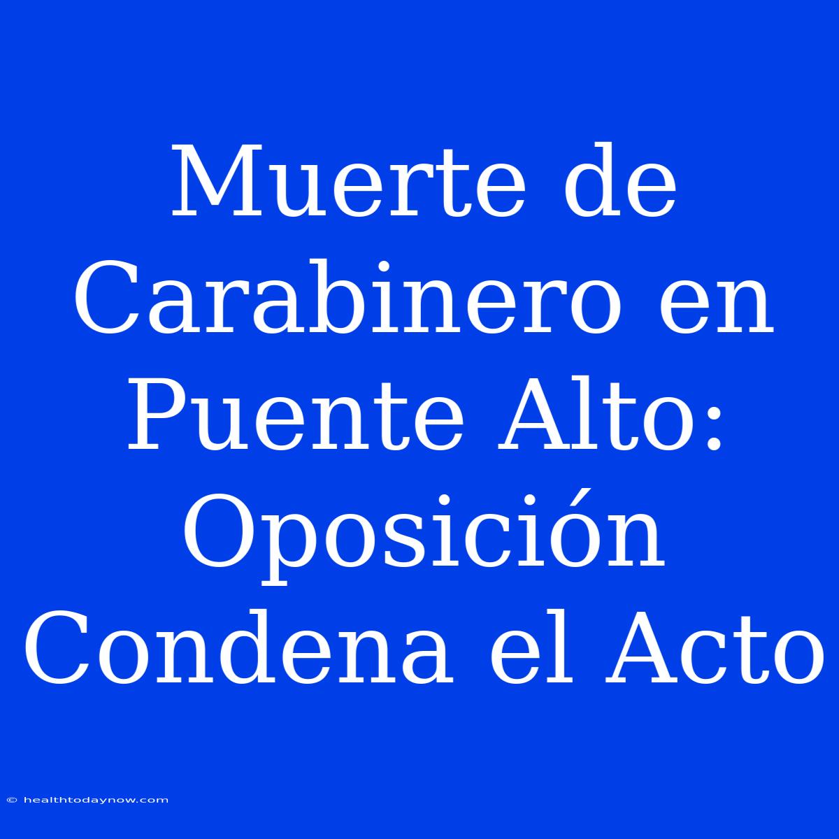 Muerte De Carabinero En Puente Alto: Oposición Condena El Acto 