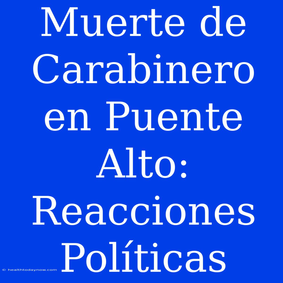 Muerte De Carabinero En Puente Alto: Reacciones Políticas