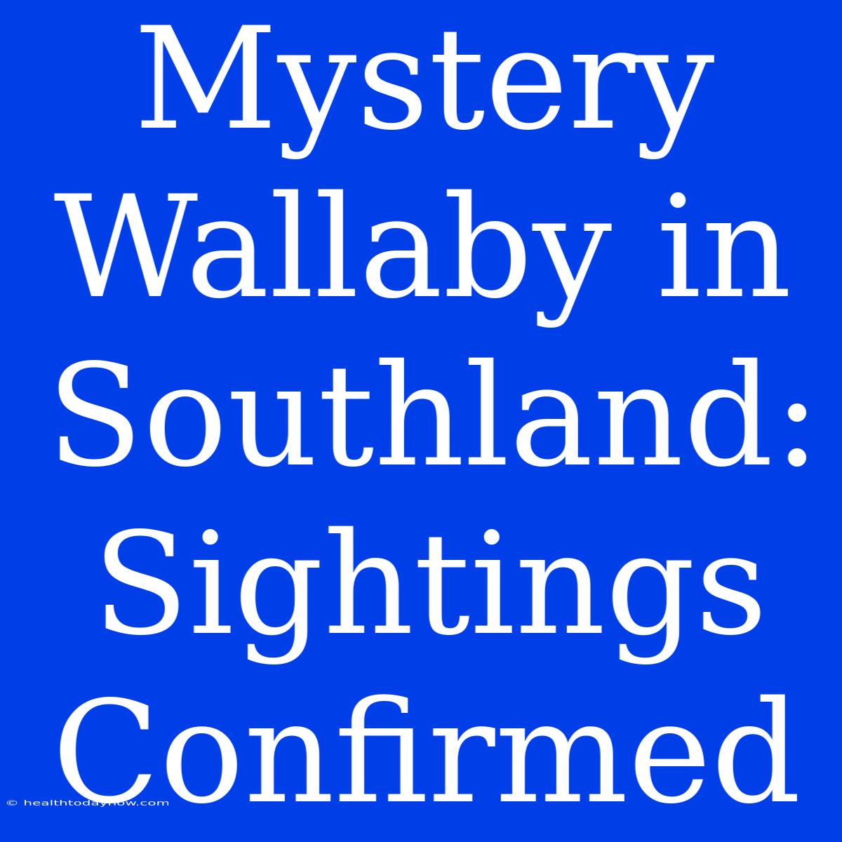 Mystery Wallaby In Southland: Sightings Confirmed