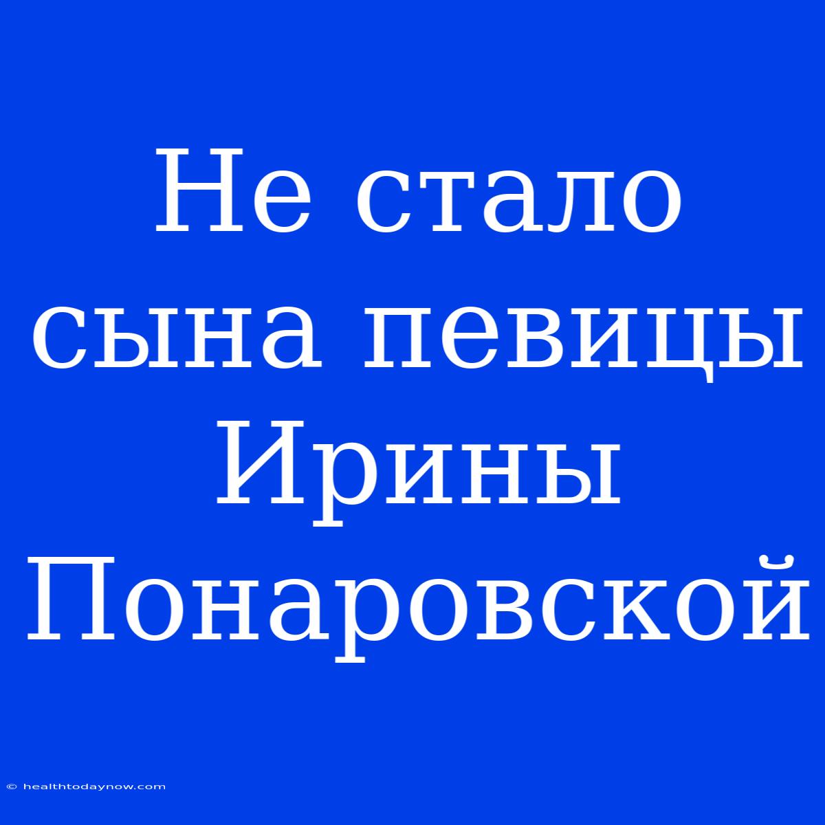 Не Стало Сына Певицы Ирины Понаровской