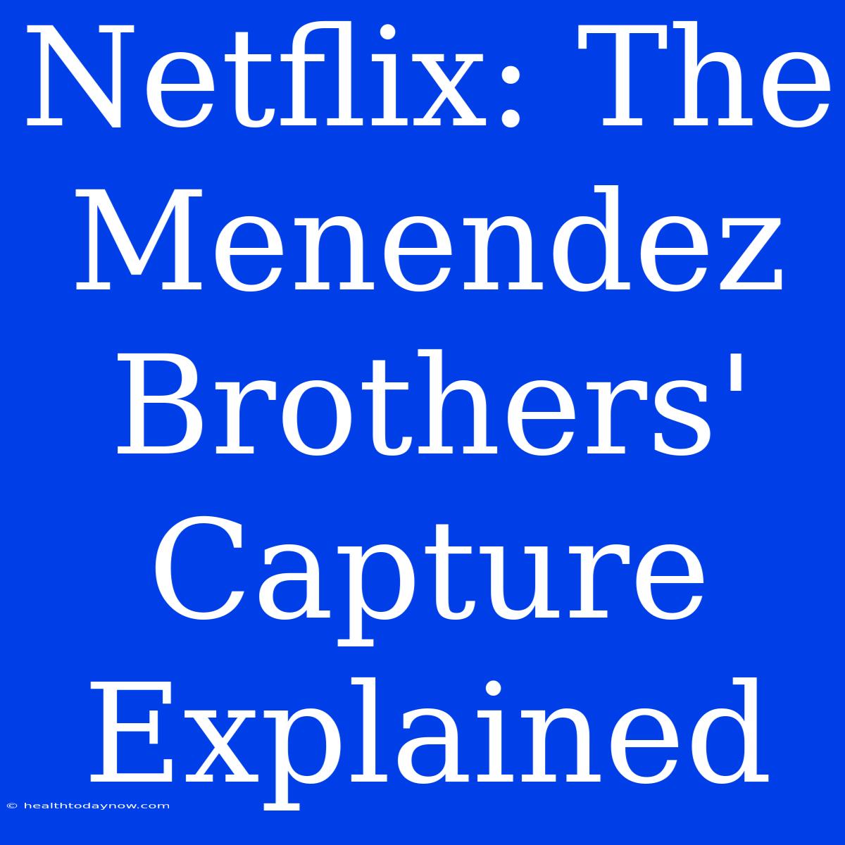 Netflix: The Menendez Brothers' Capture Explained