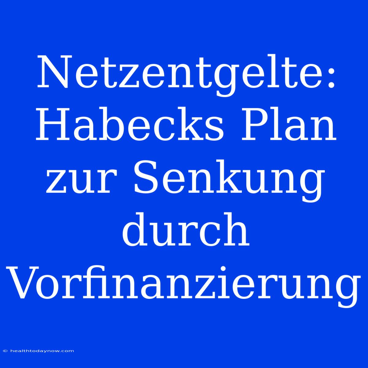 Netzentgelte: Habecks Plan Zur Senkung Durch Vorfinanzierung