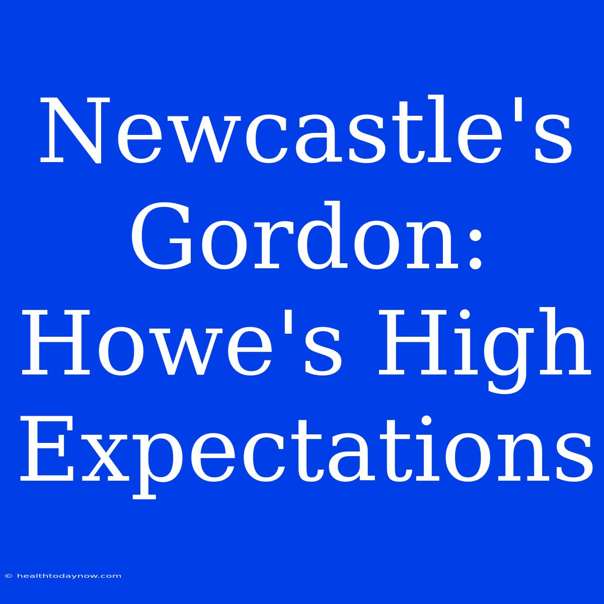 Newcastle's Gordon: Howe's High Expectations 