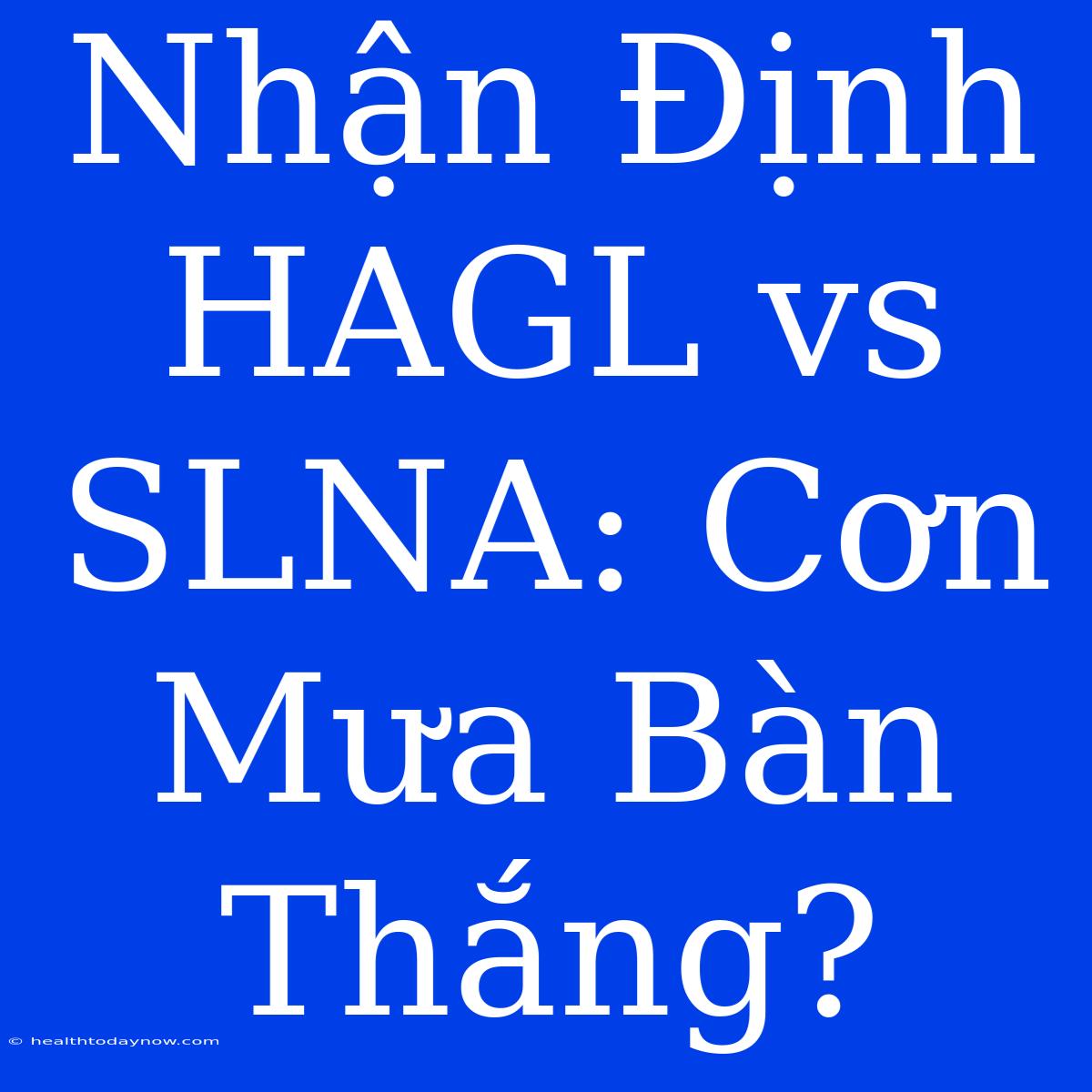 Nhận Định HAGL Vs SLNA: Cơn Mưa Bàn Thắng?