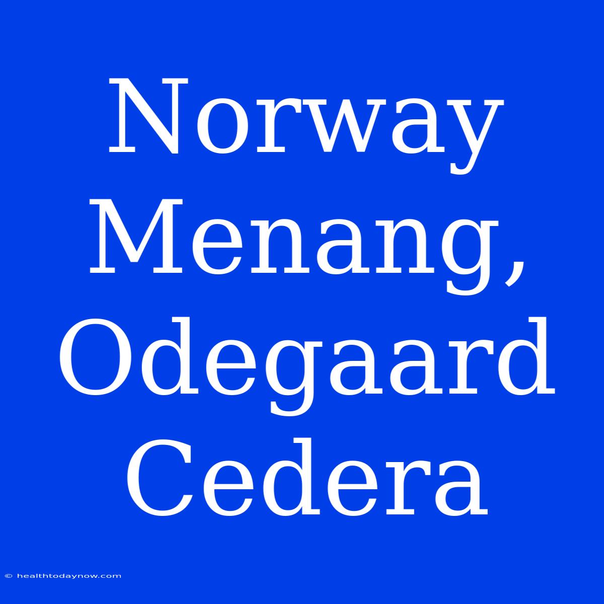 Norway Menang, Odegaard Cedera