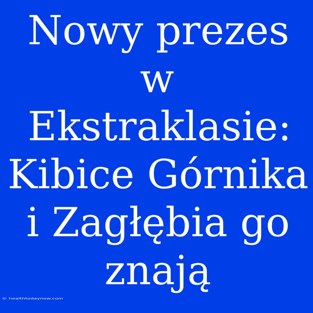 Nowy Prezes W Ekstraklasie: Kibice Górnika I Zagłębia Go Znają