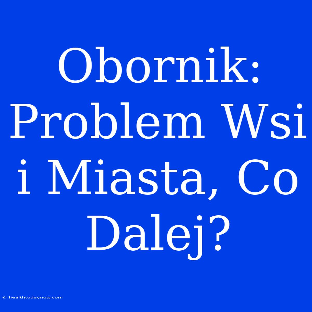 Obornik: Problem Wsi I Miasta, Co Dalej?