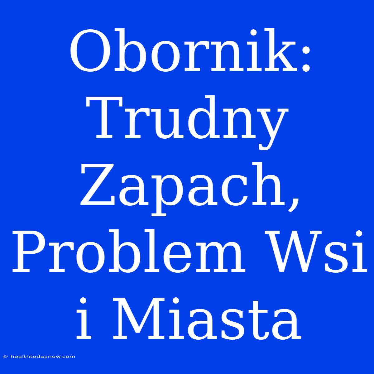 Obornik: Trudny Zapach, Problem Wsi I Miasta