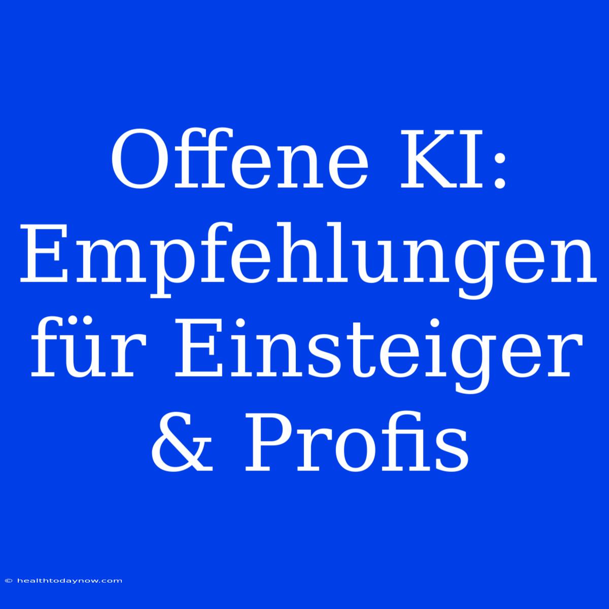 Offene KI: Empfehlungen Für Einsteiger & Profis