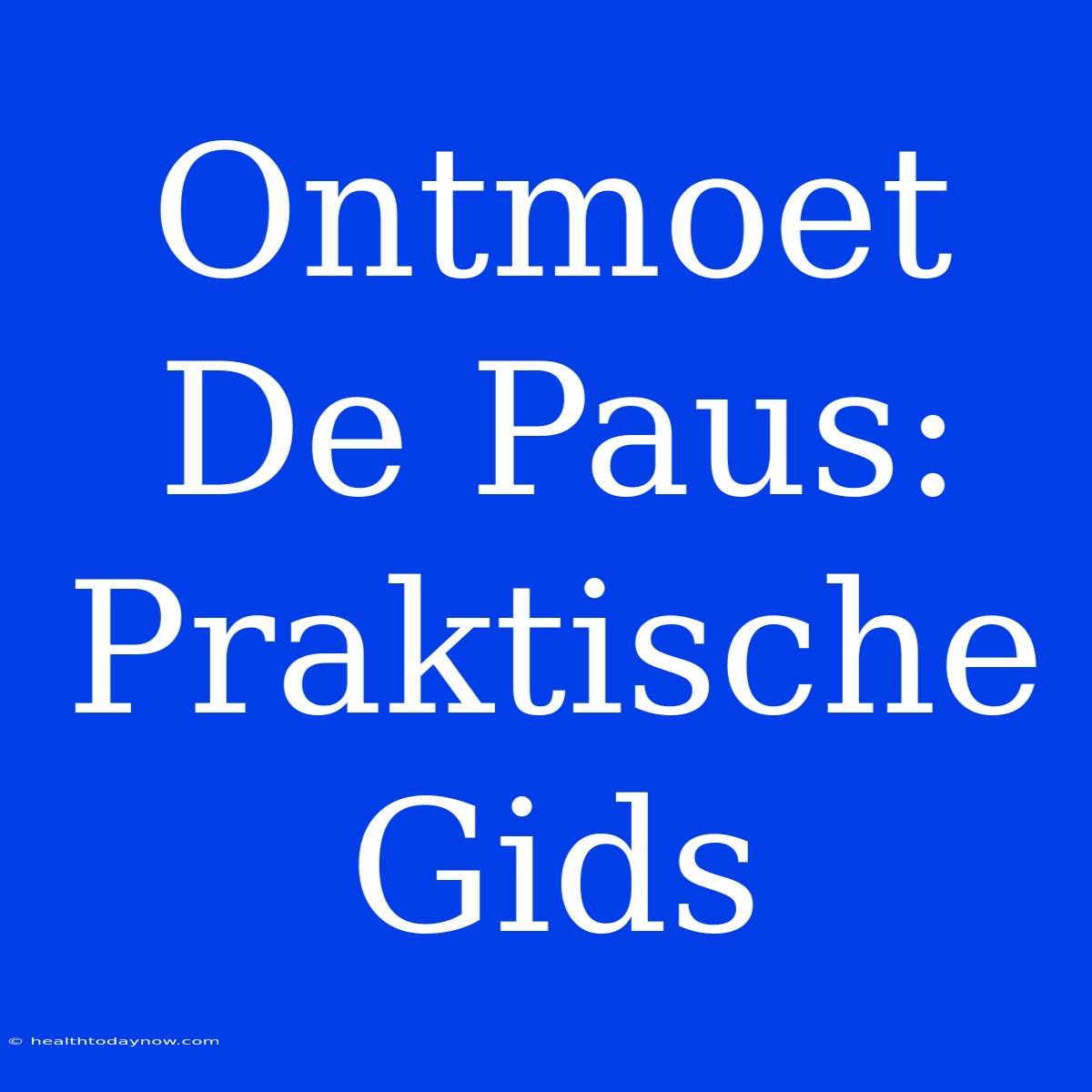 Ontmoet De Paus: Praktische Gids