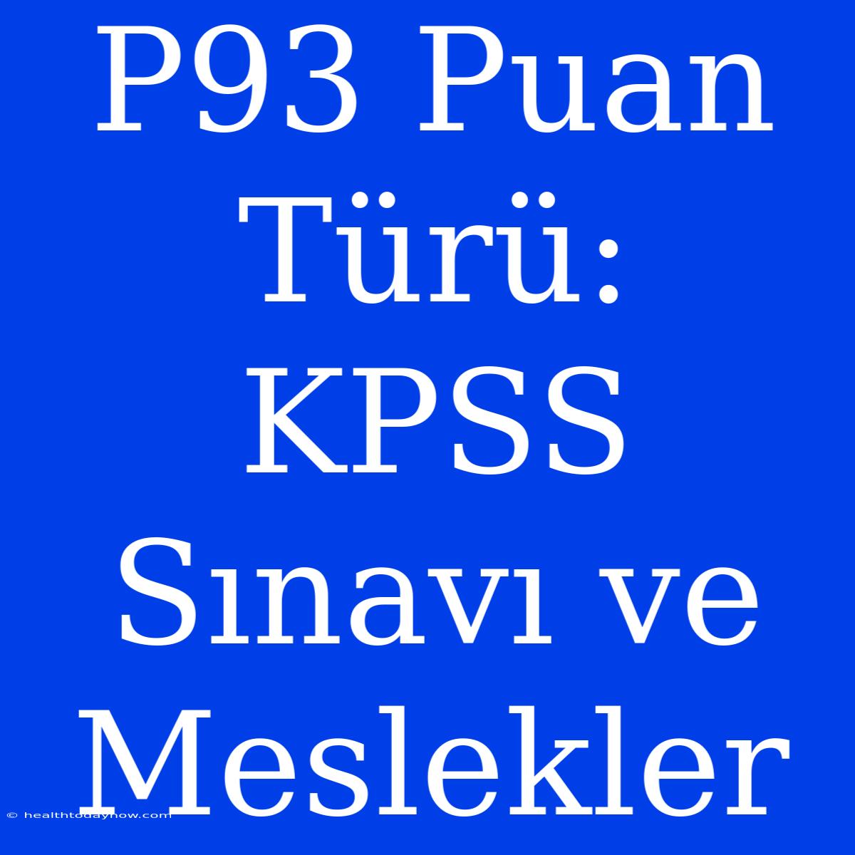 P93 Puan Türü: KPSS Sınavı Ve Meslekler