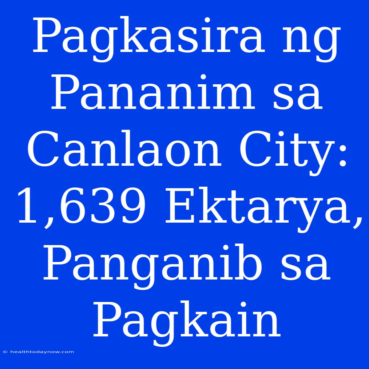 Pagkasira Ng Pananim Sa Canlaon City: 1,639 Ektarya, Panganib Sa Pagkain