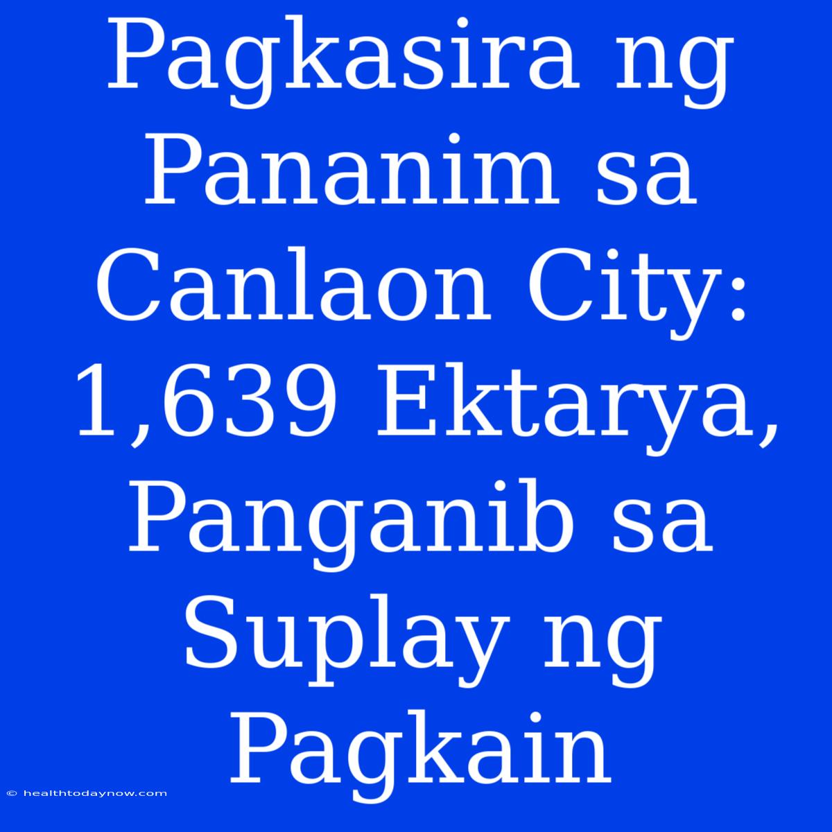 Pagkasira Ng Pananim Sa Canlaon City: 1,639 Ektarya, Panganib Sa Suplay Ng Pagkain