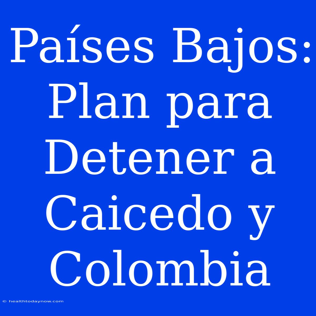 Países Bajos: Plan Para Detener A Caicedo Y Colombia