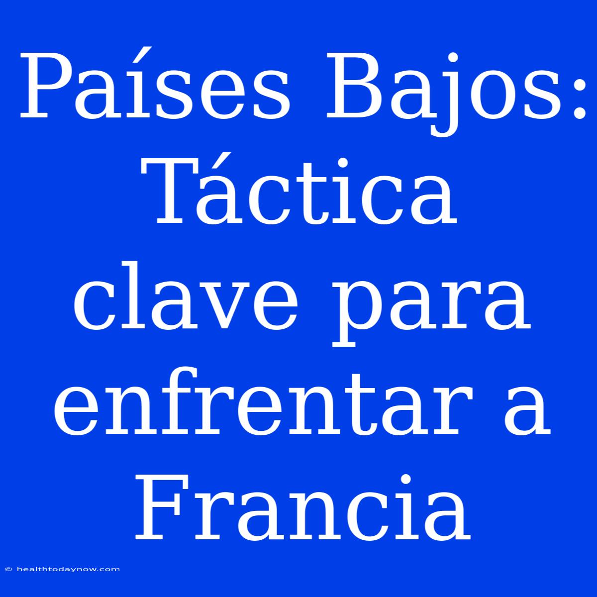 Países Bajos: Táctica Clave Para Enfrentar A Francia