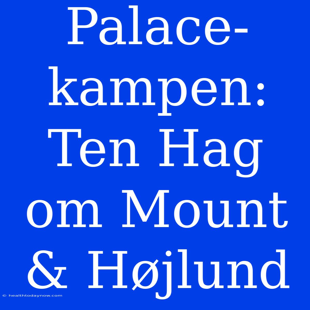 Palace-kampen: Ten Hag Om Mount & Højlund