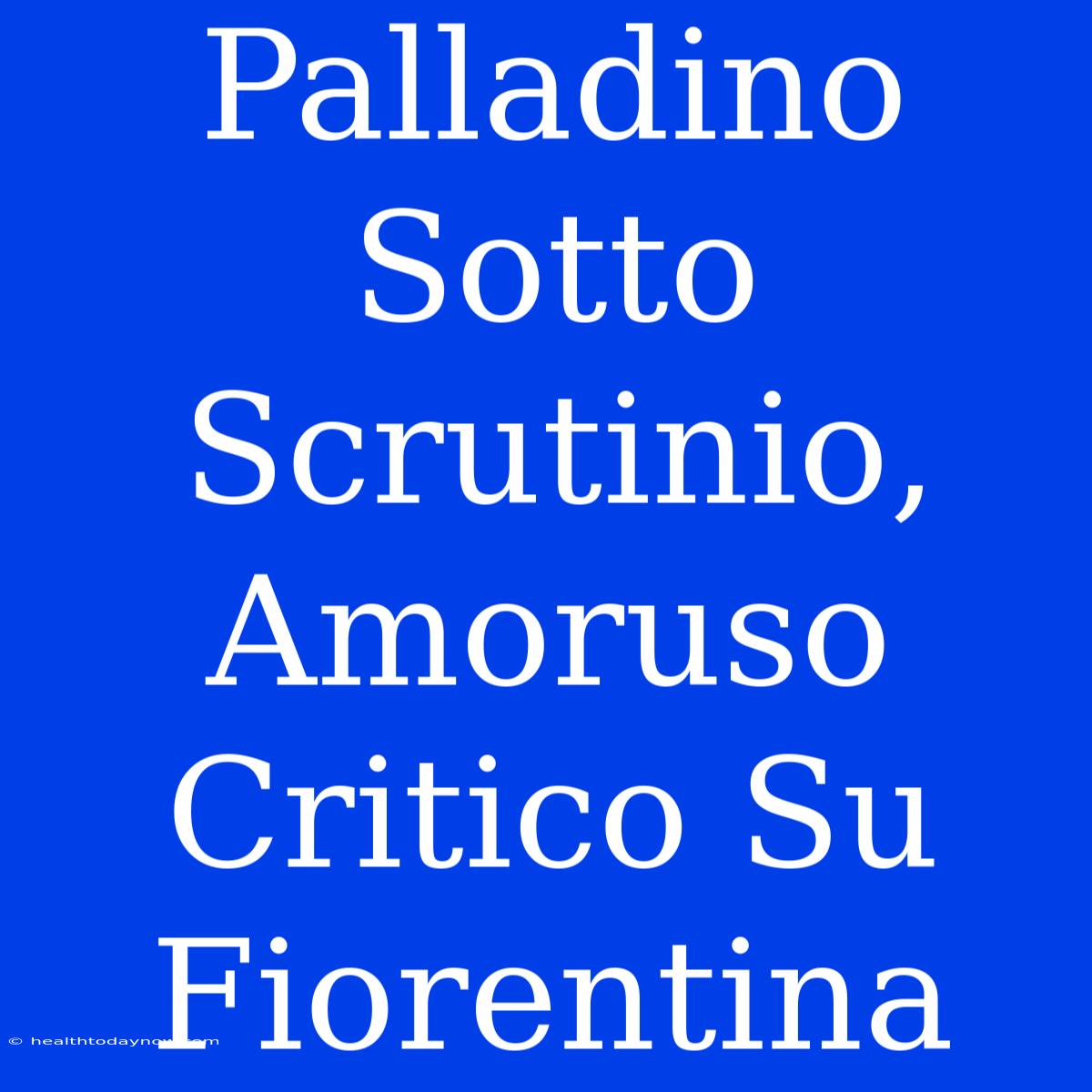 Palladino Sotto Scrutinio, Amoruso Critico Su Fiorentina