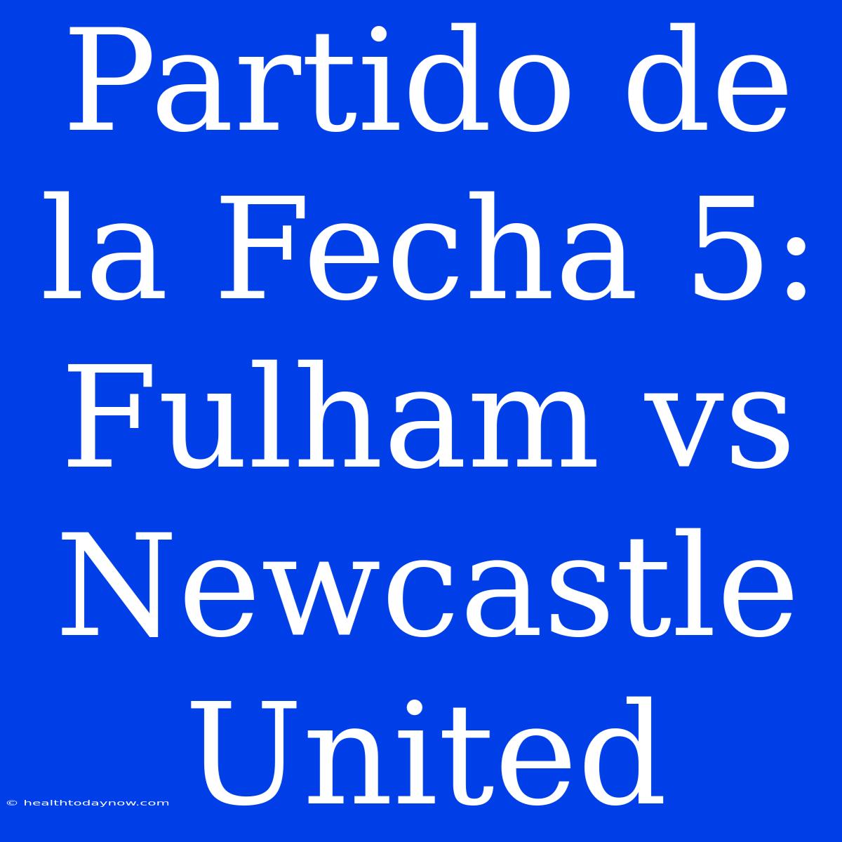 Partido De La Fecha 5: Fulham Vs Newcastle United