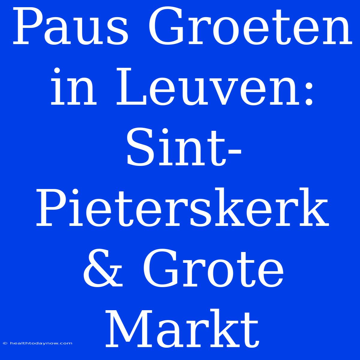 Paus Groeten In Leuven: Sint-Pieterskerk & Grote Markt