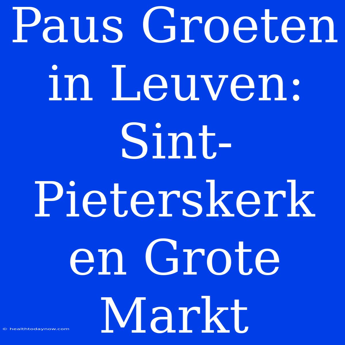 Paus Groeten In Leuven: Sint-Pieterskerk En Grote Markt