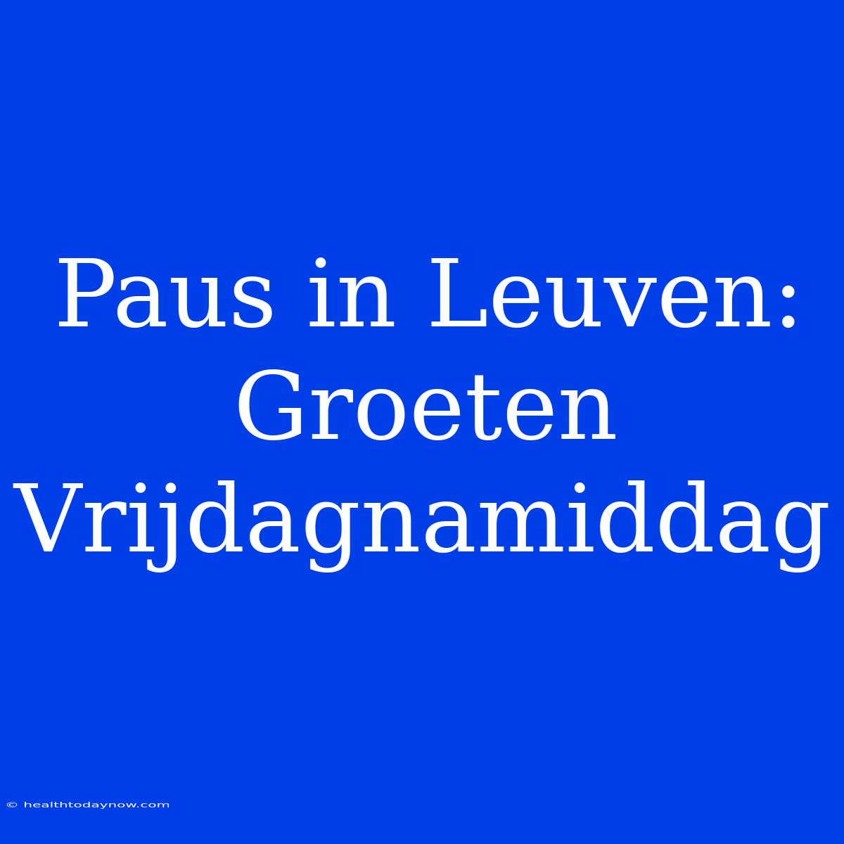 Paus In Leuven: Groeten Vrijdagnamiddag