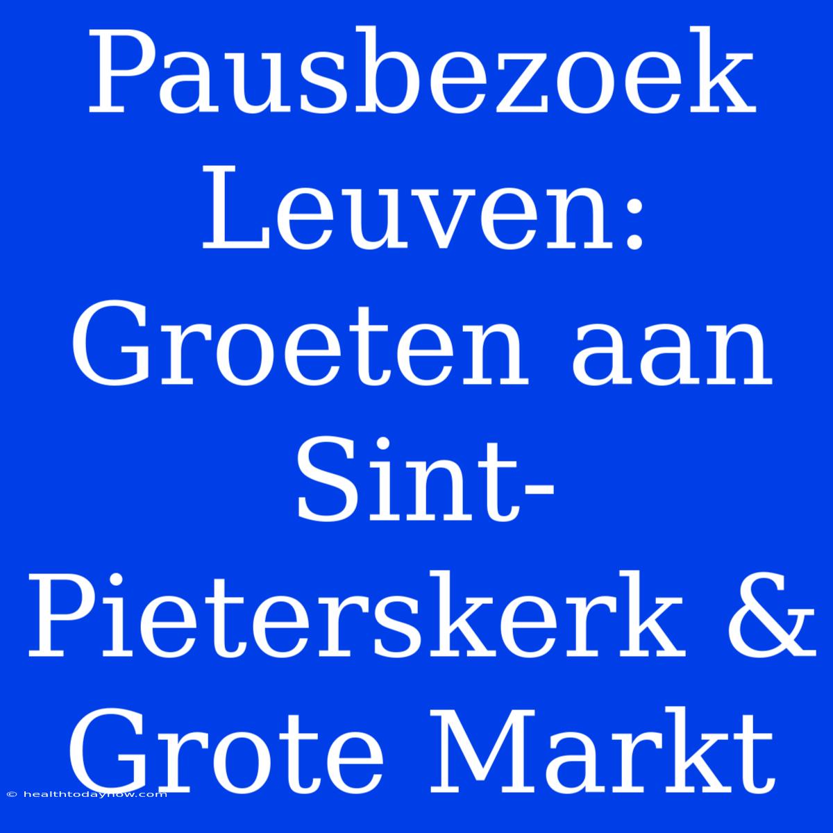 Pausbezoek Leuven: Groeten Aan Sint-Pieterskerk & Grote Markt