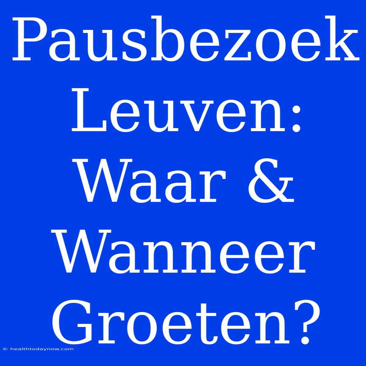 Pausbezoek Leuven: Waar & Wanneer Groeten?