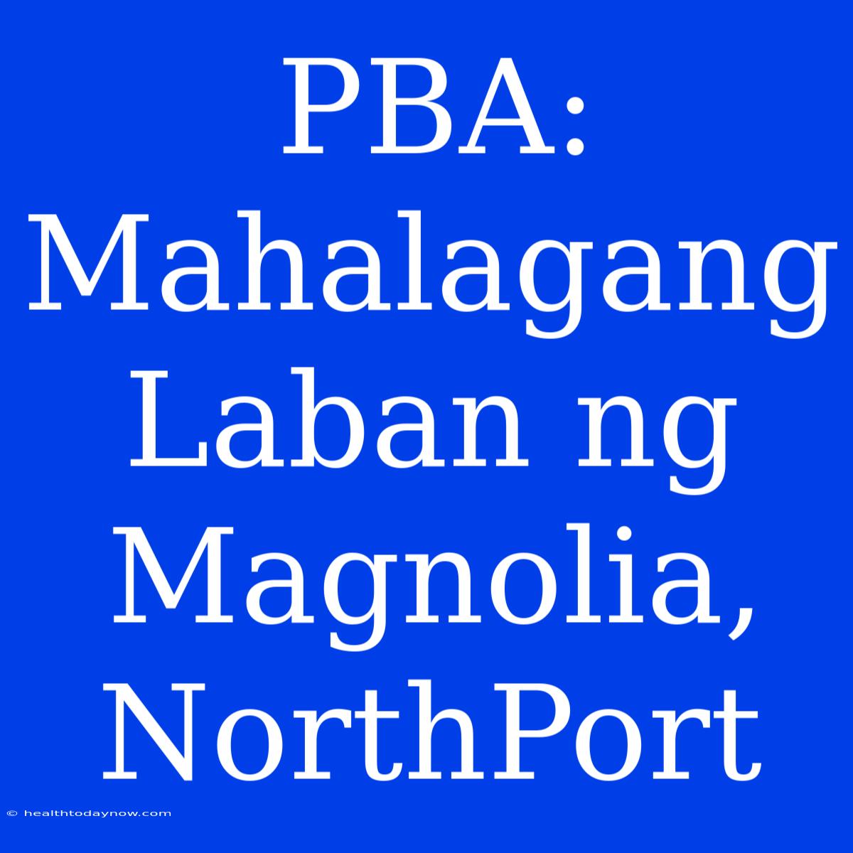 PBA: Mahalagang Laban Ng Magnolia, NorthPort