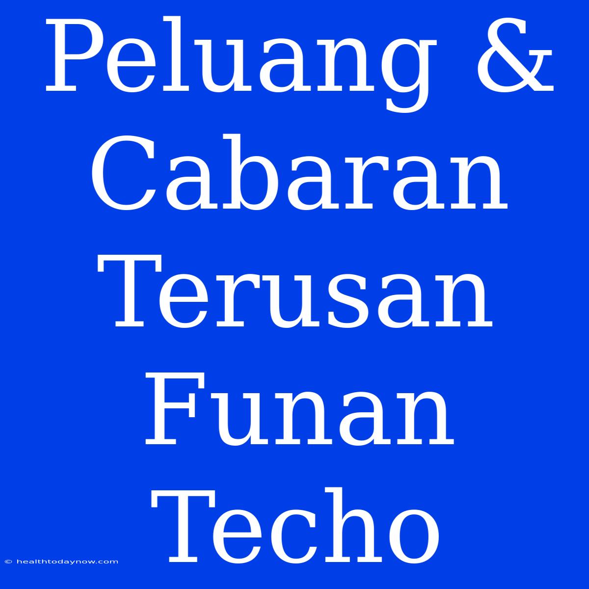 Peluang & Cabaran Terusan Funan Techo