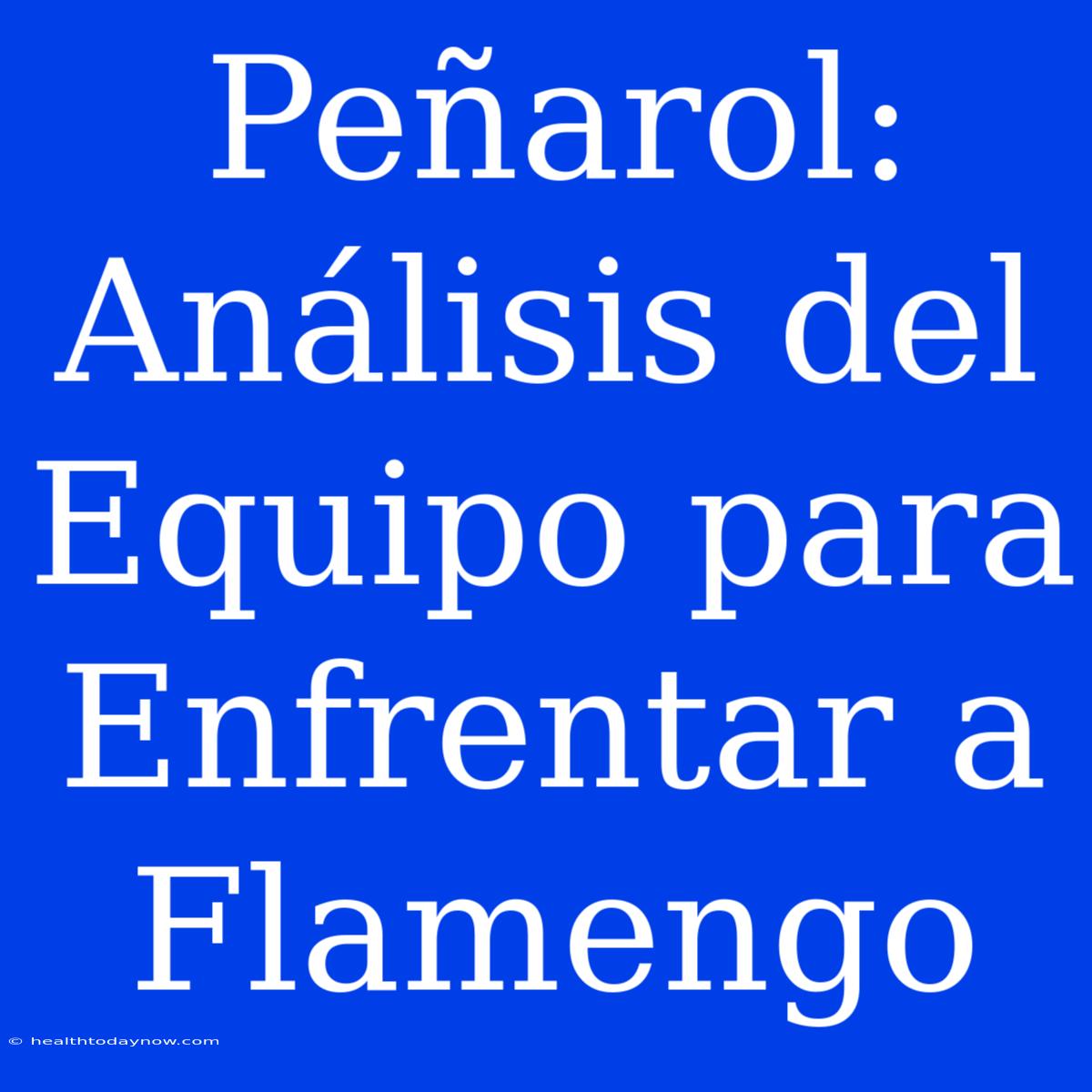 Peñarol: Análisis Del Equipo Para Enfrentar A Flamengo