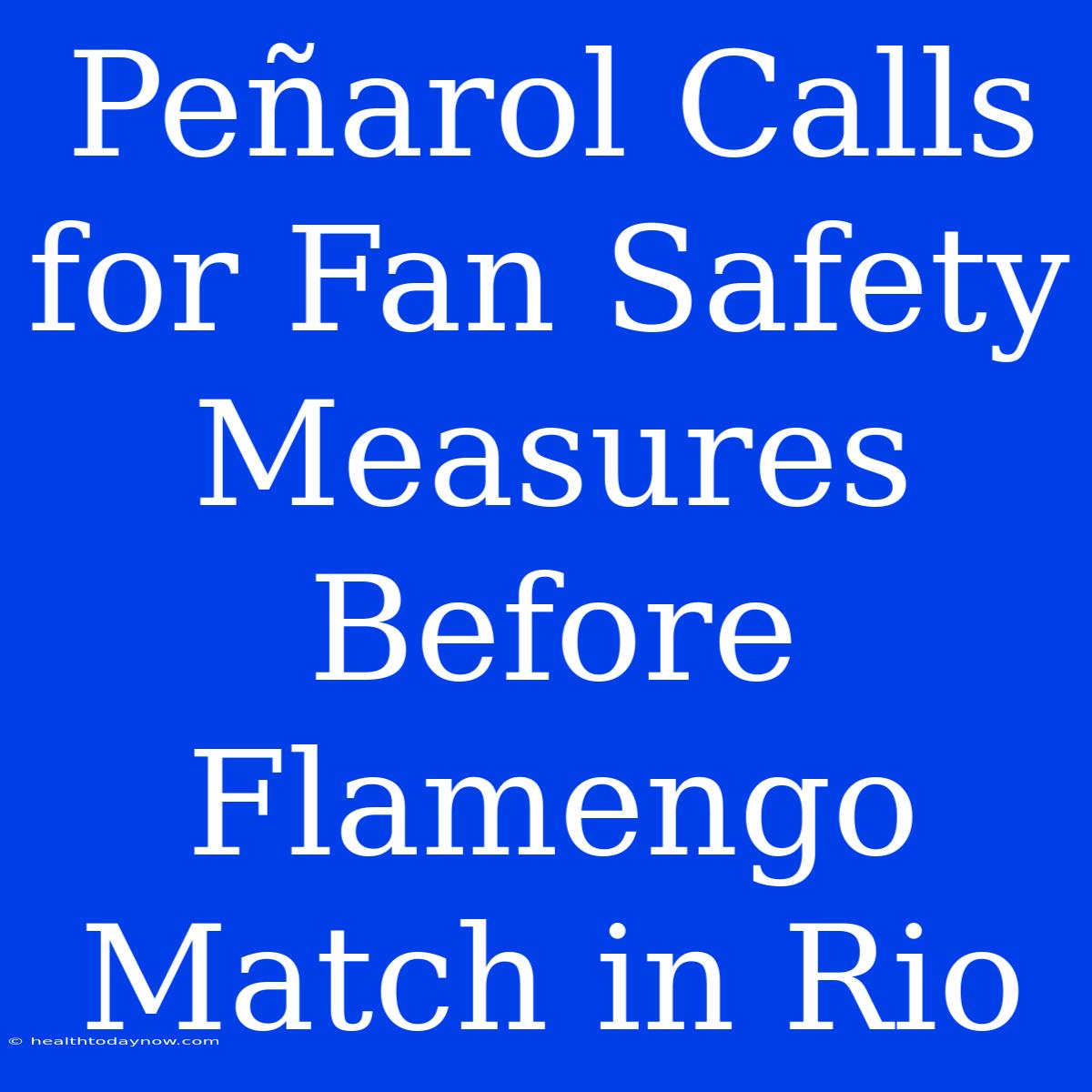 Peñarol Calls For Fan Safety Measures Before Flamengo Match In Rio