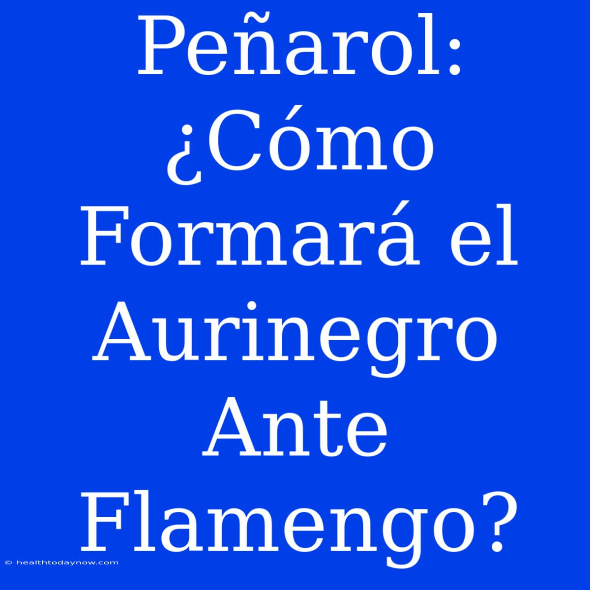 Peñarol: ¿Cómo Formará El Aurinegro Ante Flamengo?