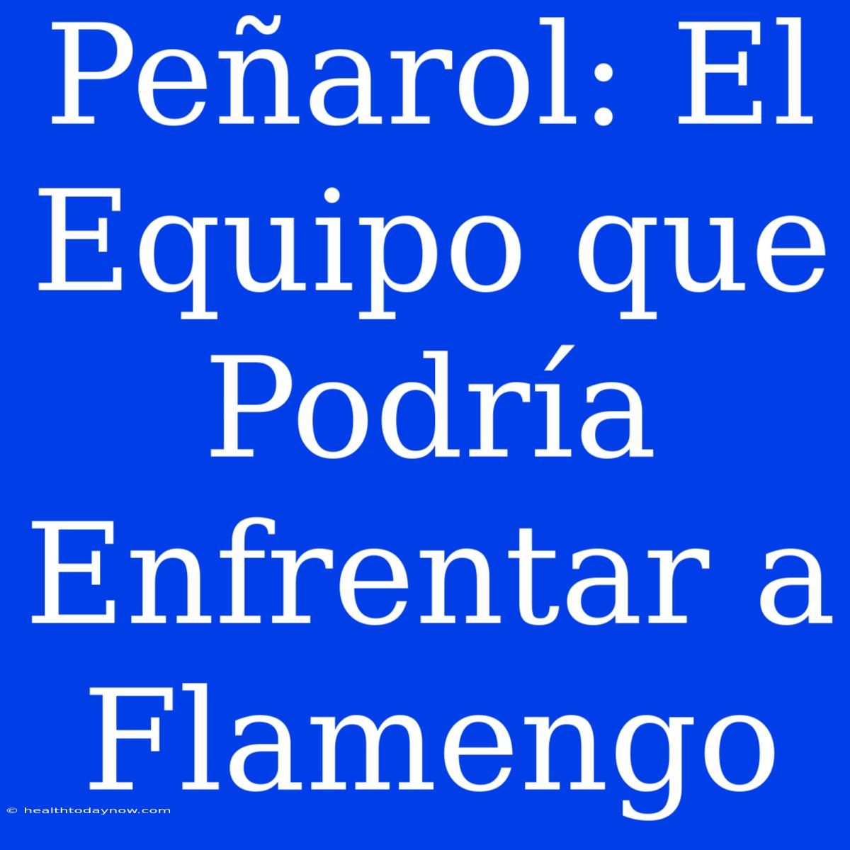 Peñarol: El Equipo Que Podría Enfrentar A Flamengo