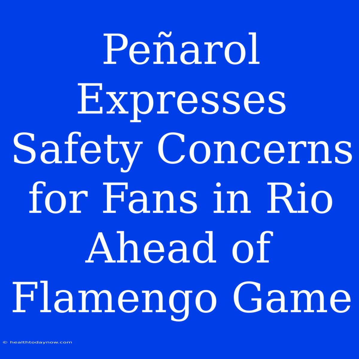 Peñarol Expresses Safety Concerns For Fans In Rio Ahead Of Flamengo Game