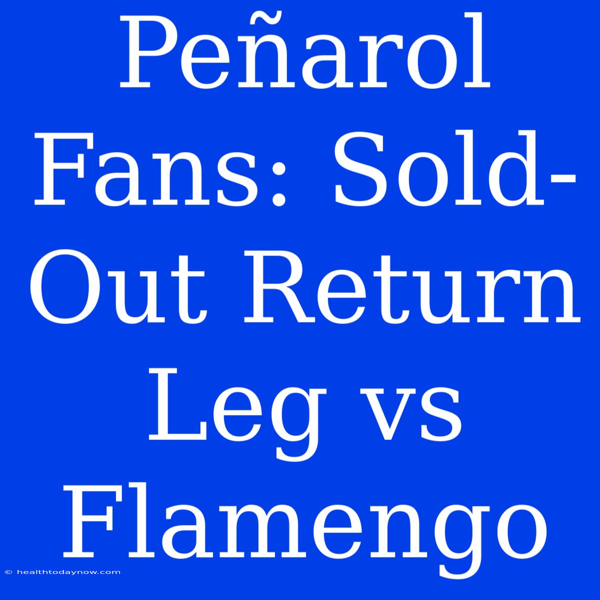 Peñarol Fans: Sold-Out Return Leg Vs Flamengo