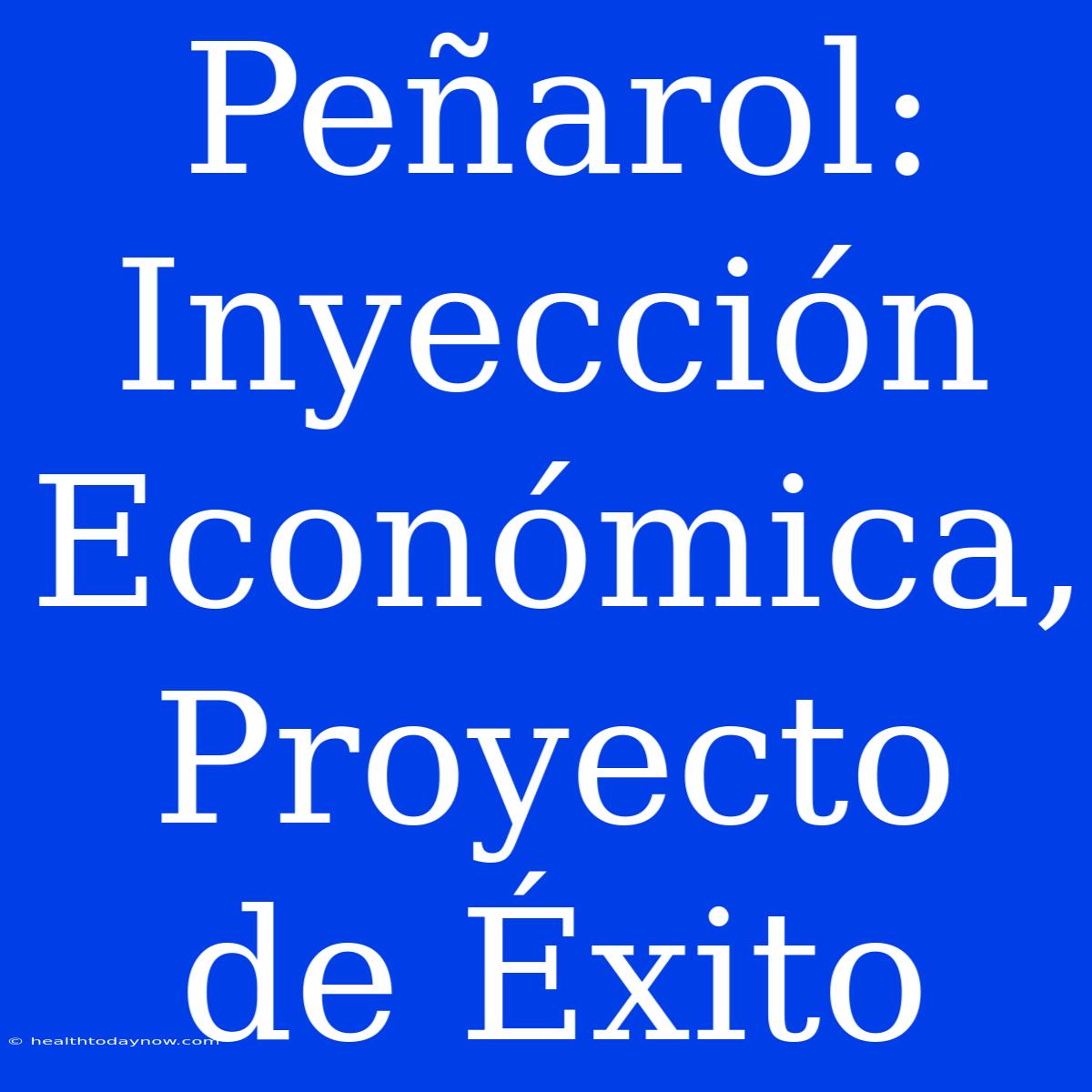 Peñarol: Inyección Económica, Proyecto De Éxito