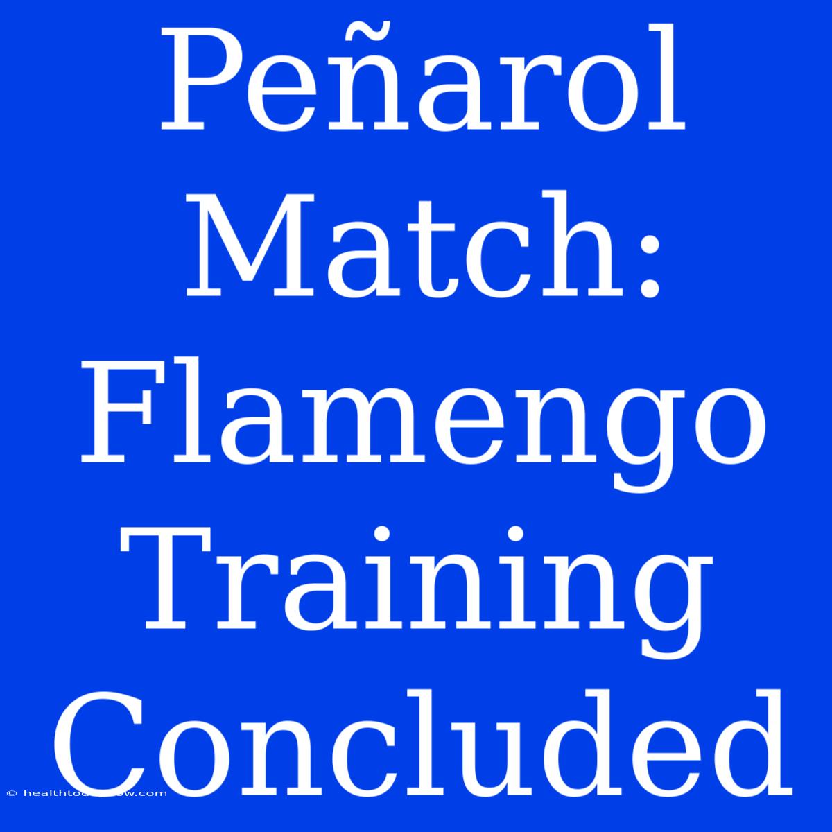 Peñarol Match: Flamengo Training Concluded