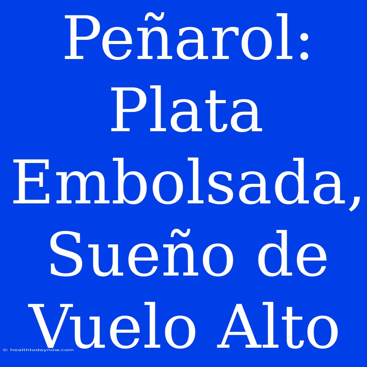 Peñarol: Plata Embolsada, Sueño De Vuelo Alto