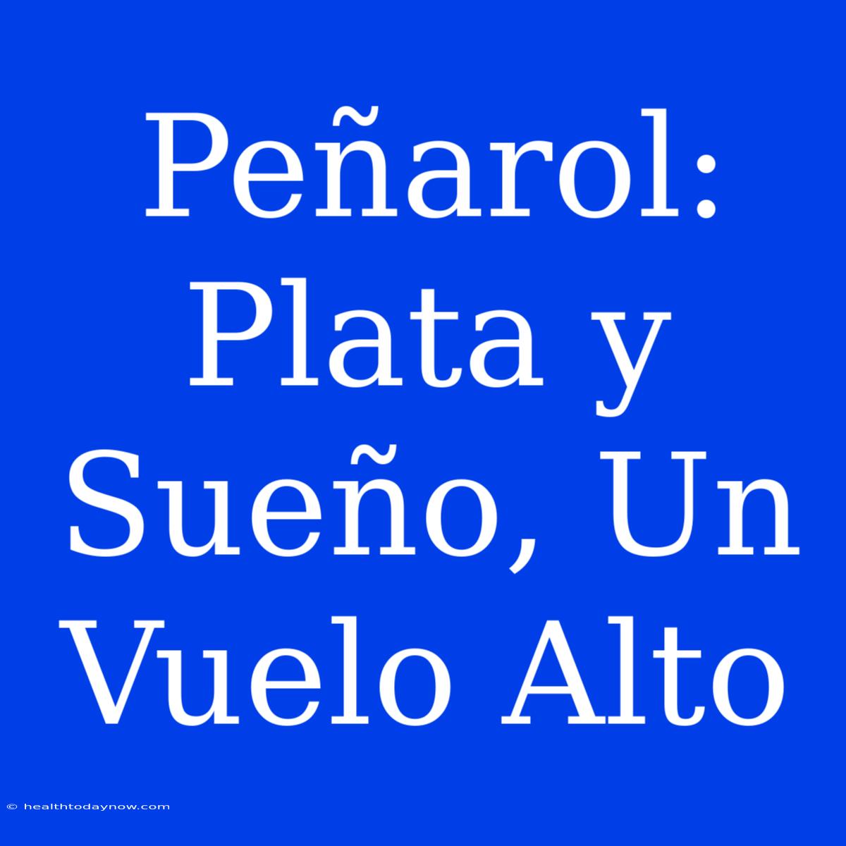 Peñarol: Plata Y Sueño, Un Vuelo Alto