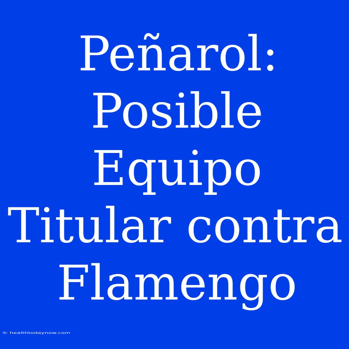 Peñarol: Posible Equipo Titular Contra Flamengo 