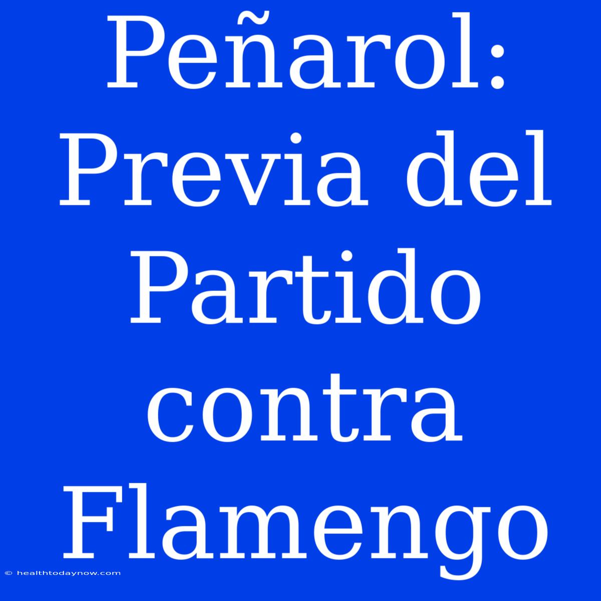 Peñarol: Previa Del Partido Contra Flamengo