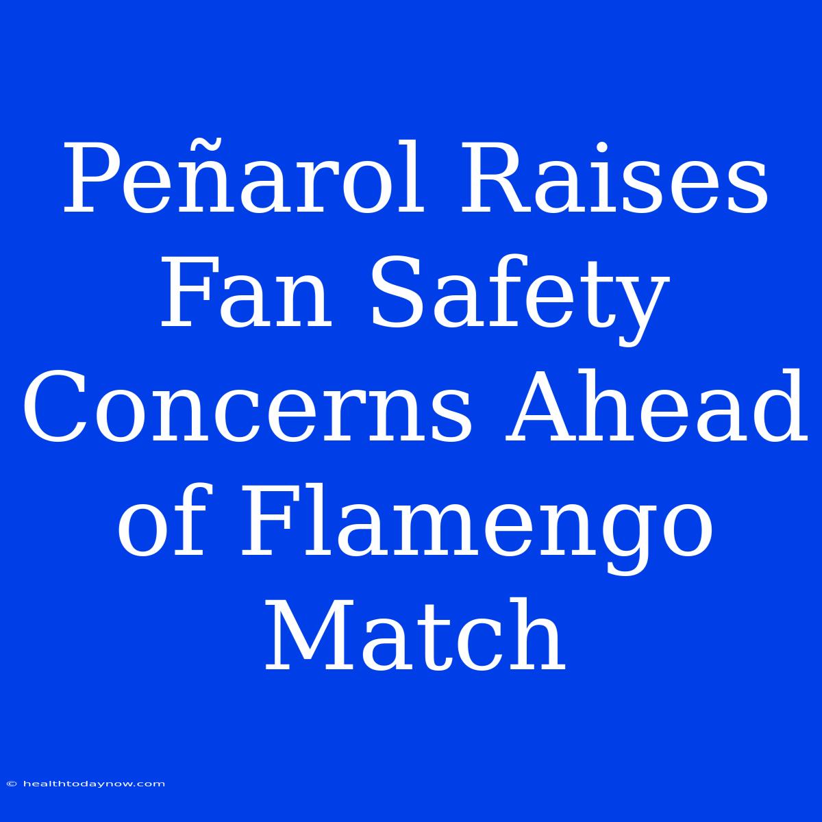 Peñarol Raises Fan Safety Concerns Ahead Of Flamengo Match