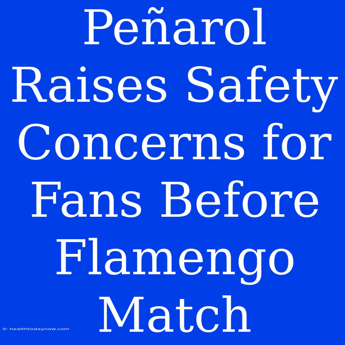 Peñarol Raises Safety Concerns For Fans Before Flamengo Match