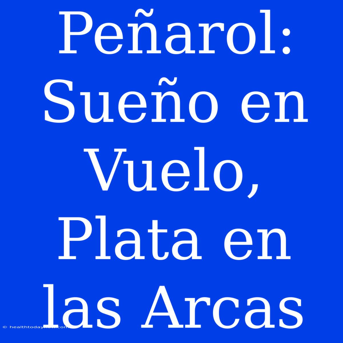 Peñarol: Sueño En Vuelo, Plata En Las Arcas